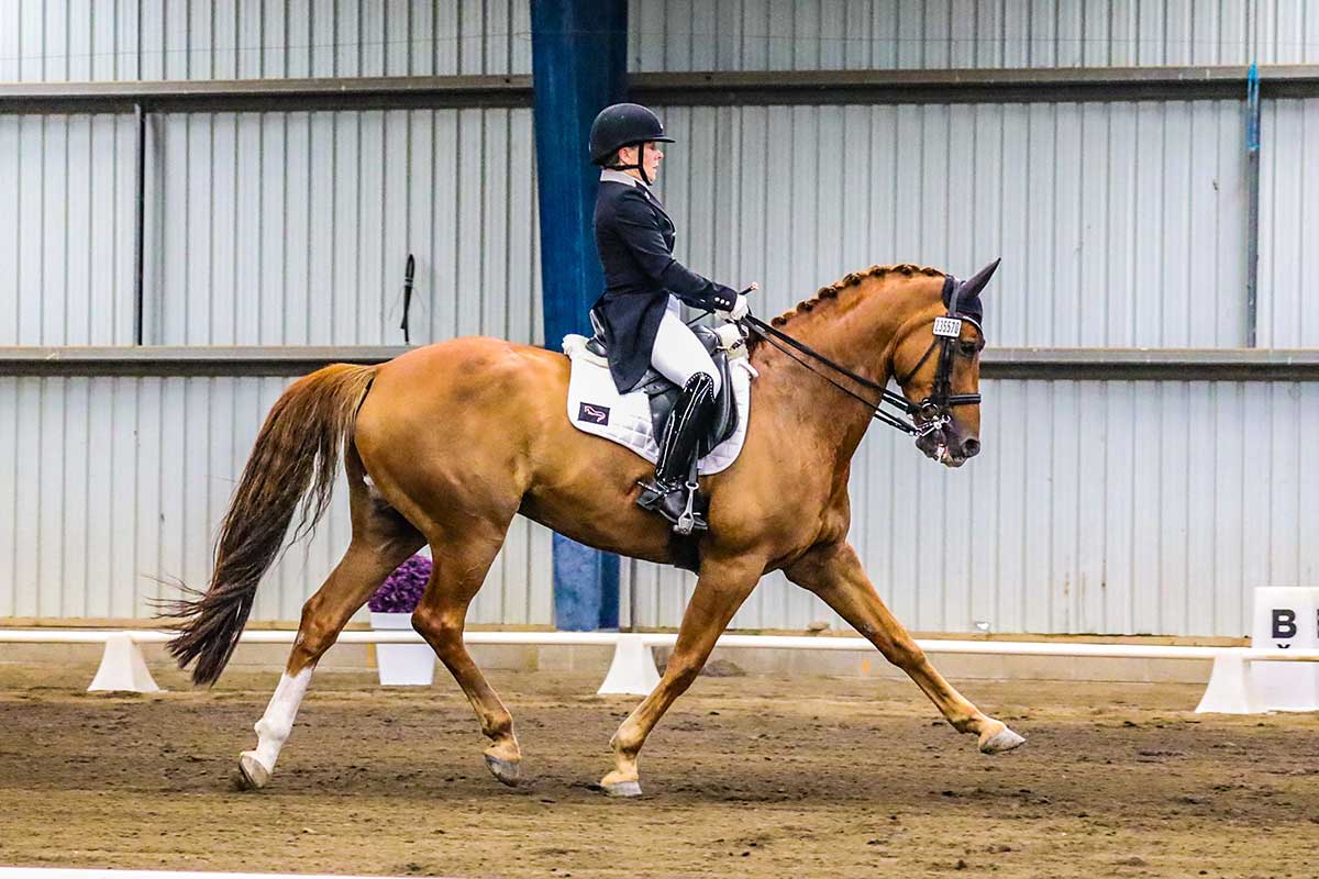 dressage at Egmont Showgrounds in Hawera