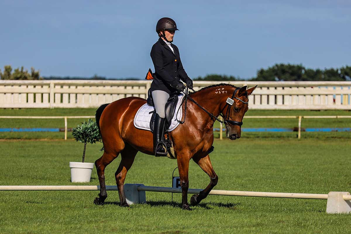 dressage at Egmont Showgrounds in Hawera